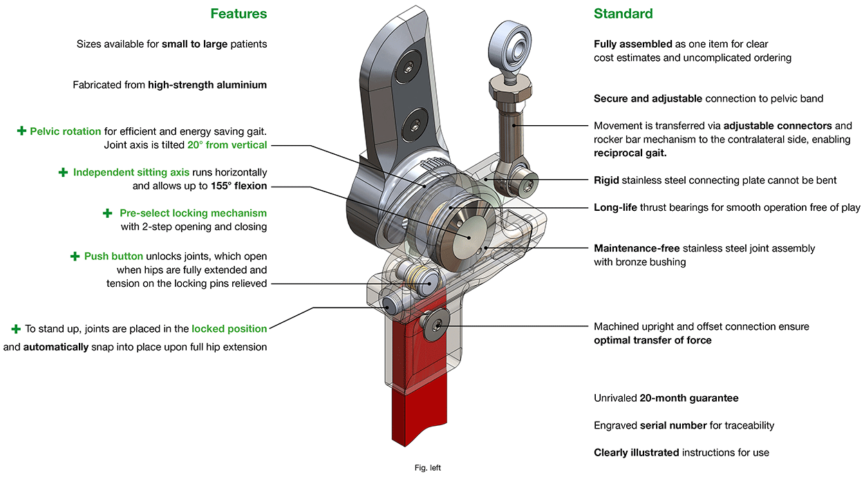 Features Buran Hip Joint