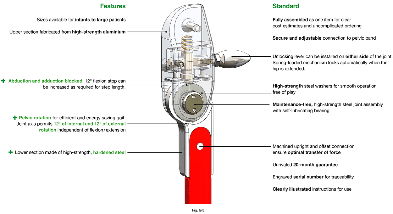 Features Fokus-2-D Hip Joint