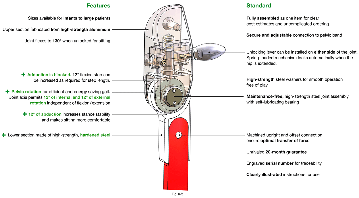 Features Fokus-3-D Hip Joint