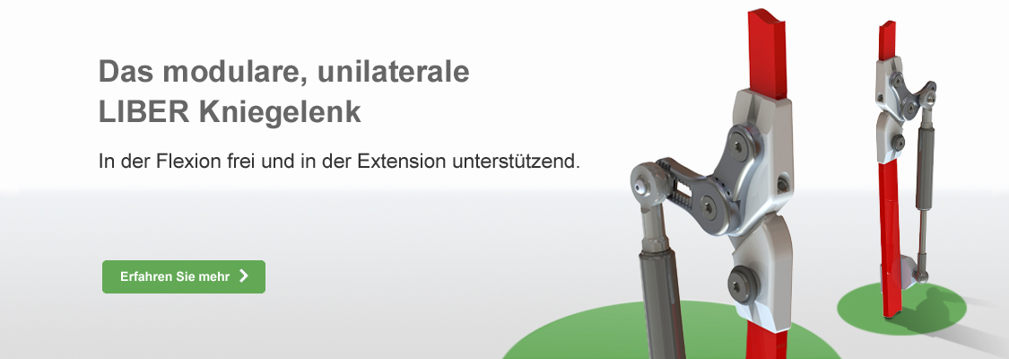 Liber + Liber Extensor Kniegelenke
